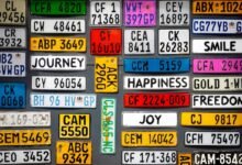 guide to car plates