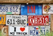 guide to state license plates