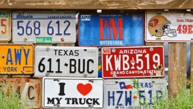 guide to state license plates
