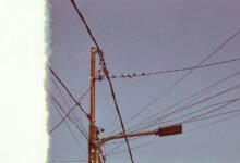 support line phone number