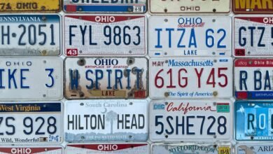 vehicle identification number guide