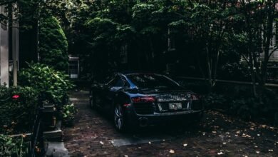 vehicle license cost estimator