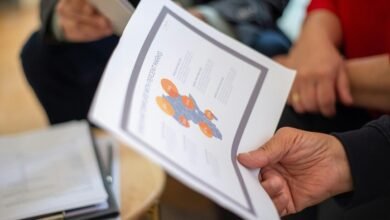 data coordination professional brief