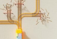 enterprise data alignment file