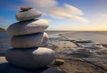 identifier stability assessment results