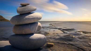 identifier stability assessment results