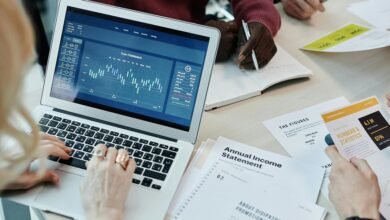 numeric integrity summary statement