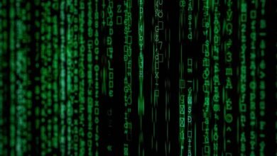 numeric oversight memorandum summary