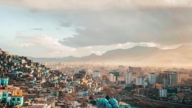 numeric structure overview analysis