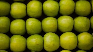 market expansion strategy alignment