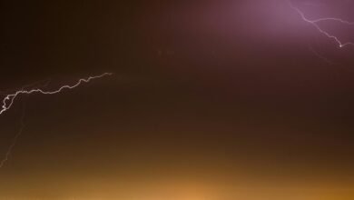 stellar surge growth path